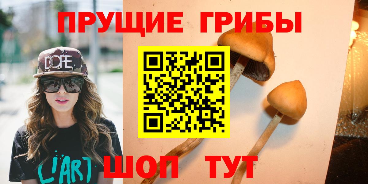 Псилоцибиновые грибы ЛСД Сокол